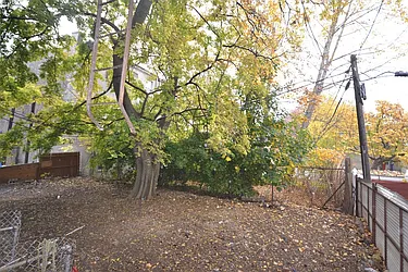 Rented by Bold New York