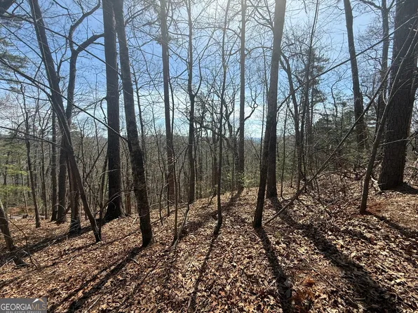 TRACT 3A Big View Ln, Clayton, GA 30525