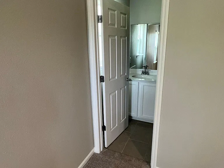 232 Mustard Hill Ct — Photo 60