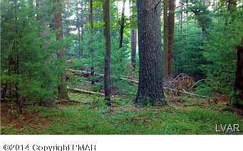5th image of 1448 Sullivan Trl
