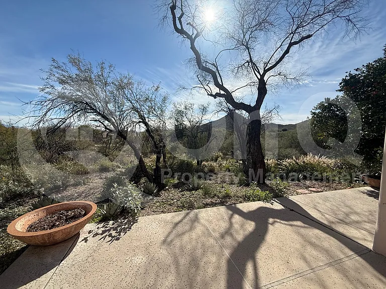 3663 W Placita Del Correcaminos — Photo 20