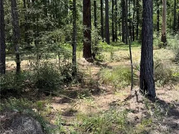 State Highway 63, Livingston, LA 70754