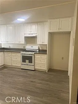 1 bed, 700 sqft, $1,700 — Photo 2