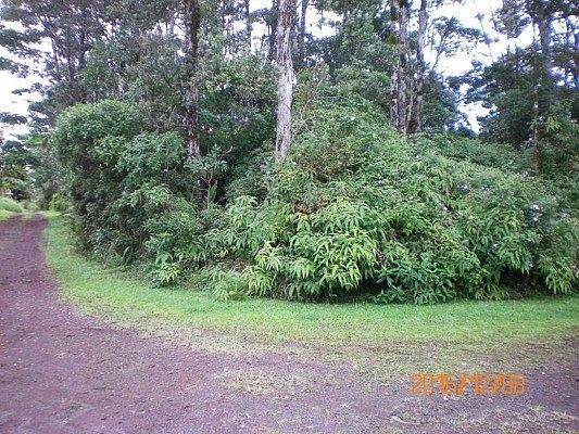 1st image of Silversword Ct Lot 47