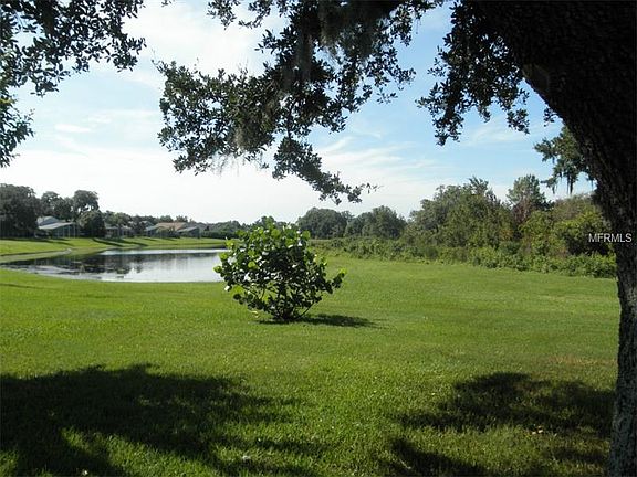 5th image of 15216 Arbor Hollow Dr