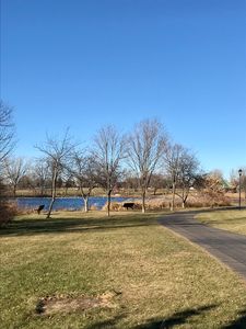 6740 Gerdine Path, Rosemount, MN, 55068