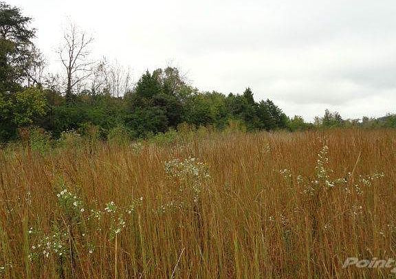 3 - field