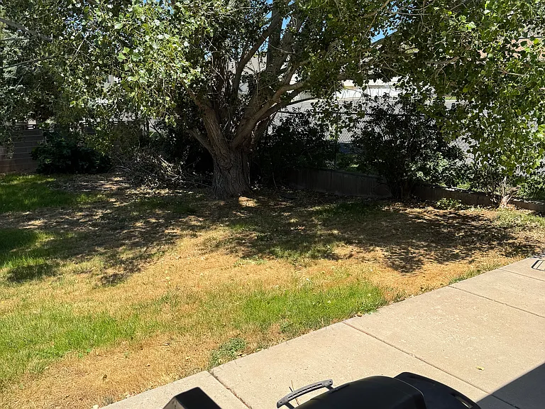 350 W 1045 N — Photo 26