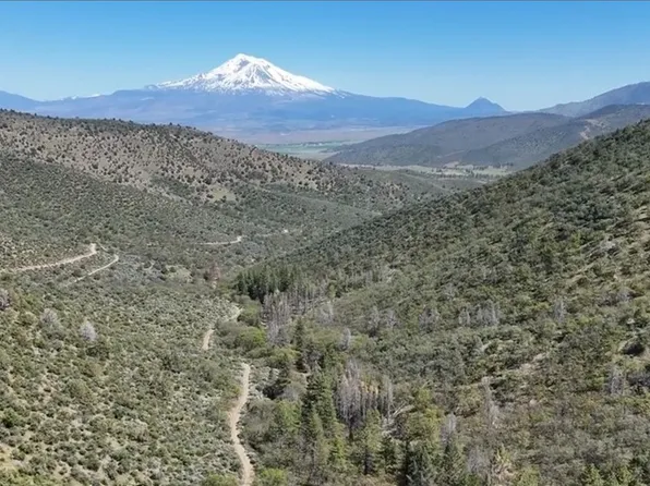 40 Scarface Rd, Gazelle, CA 96034