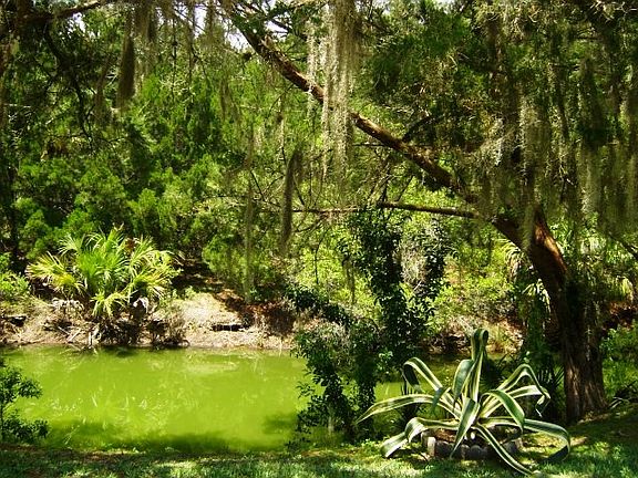 4th image of 255 Osprey Ln