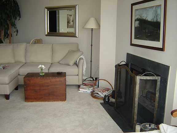 LR w/ woodburning fireplace