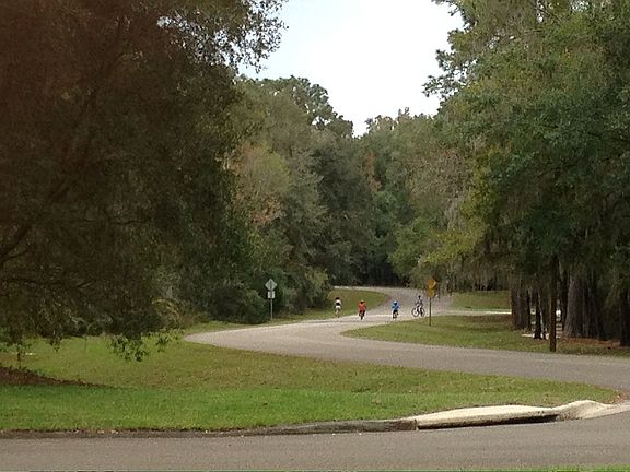 View from Front Door