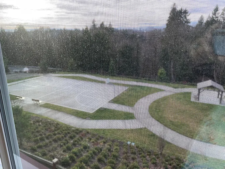 3206 104th Ave NE — Photo 27