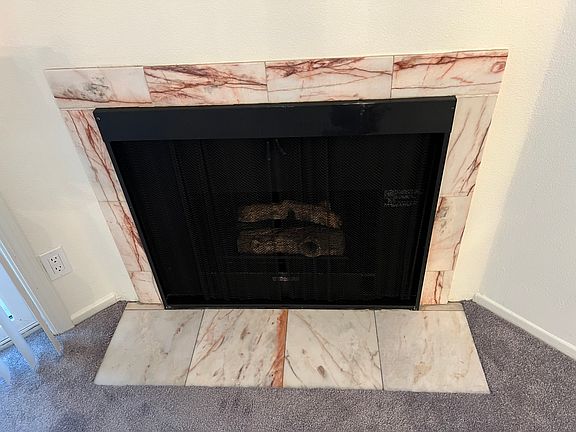Fireplace (non-wood burning)