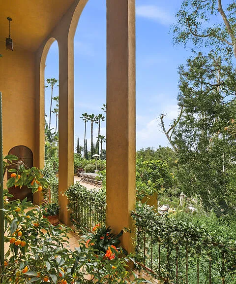 6203 Temple Hill Dr — Photo 15