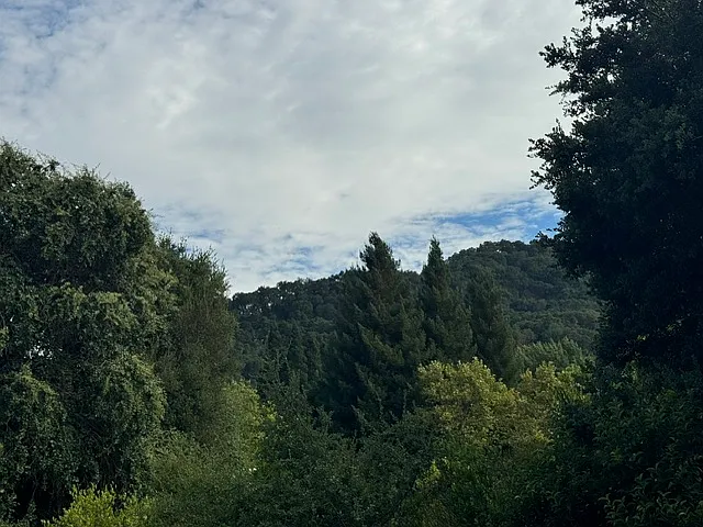 Reynolds Dr — Photo 22