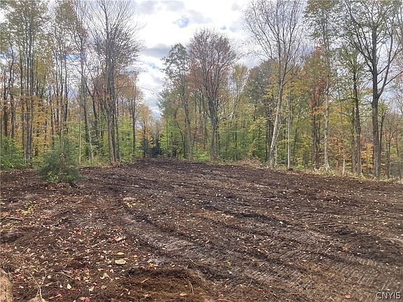 2nd image of Olin Rd Lot 6