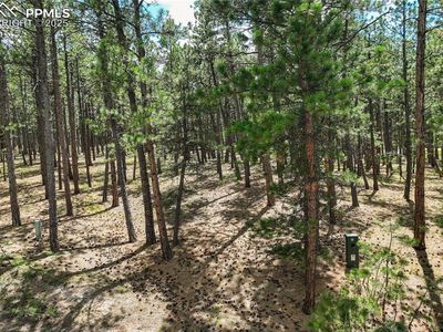 17960 Smugglers Rd, Monument, CO, 80132