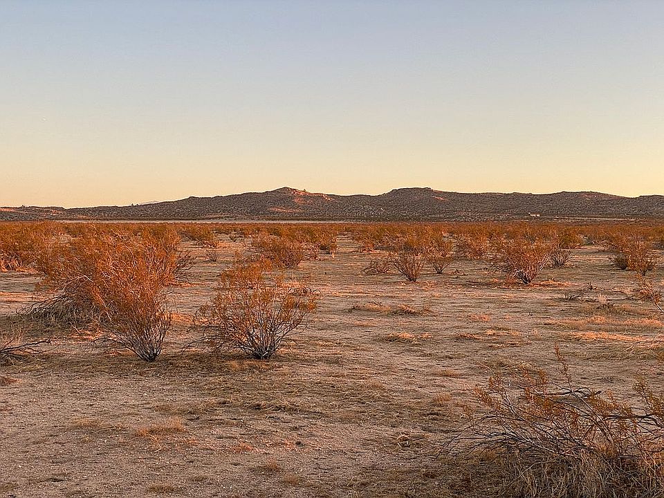 1st image of Avenue C #Dri-230