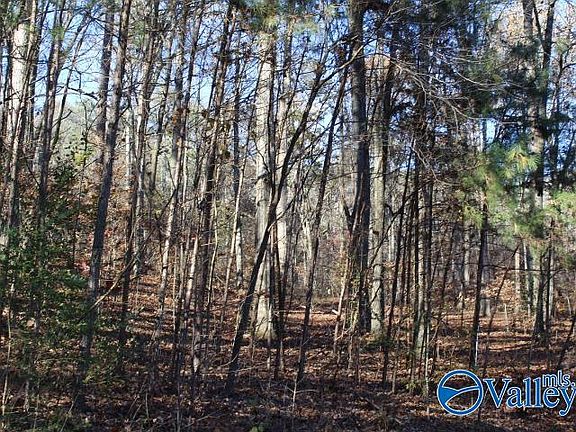 5th image of 404 Tomahawk Cir
