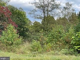 2nd image of 125 Buck Rd