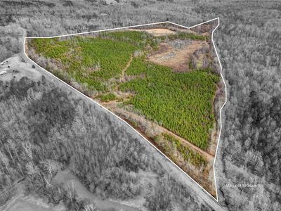 0 Lick Fork Ln, Reidsville, NC, 27320