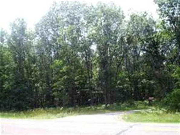 Lot 11 County Road N #11, Wisconsin Dells, WI 53965