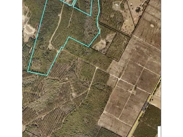 1353 Mount Pleasant Rd, Hortense, GA 31543