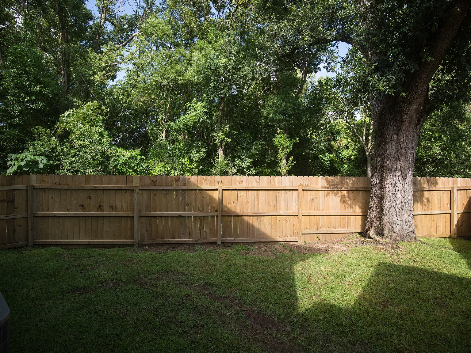 1500 Dacron Dr - #101 — Photo 2