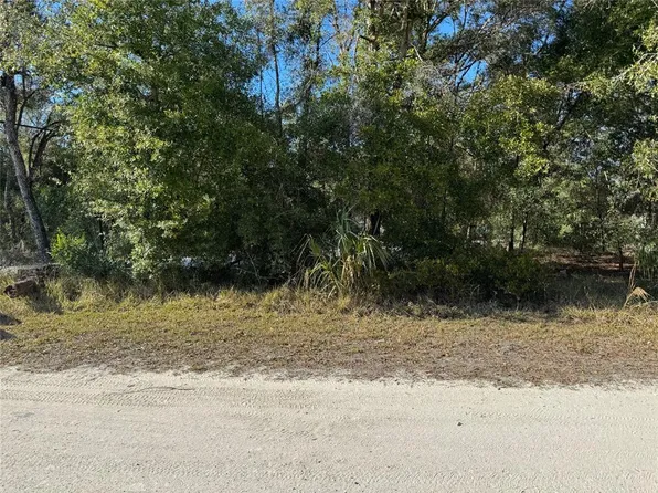LOT 347 Saint George Dr Lot 347, Dunnellon, FL 34432