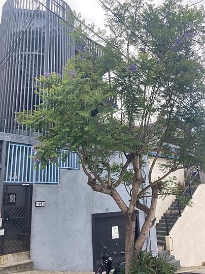 1st image of 1051 De Haro St