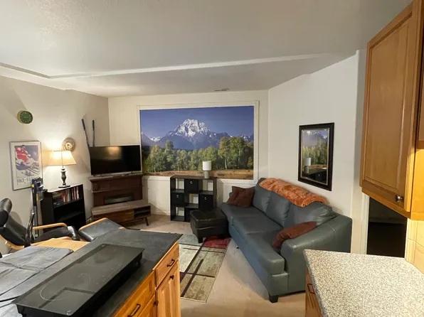 4000B Silverheels Dr #B, Silverthorne, CO 80498