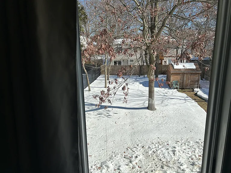 Backyard view from 2nd floor