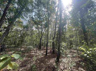 428 W Rushing Rd, Register, GA 30452