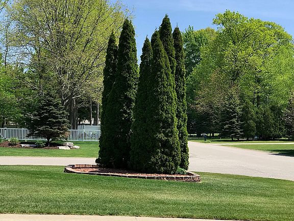 4th image of 15041 Arborwood Dr