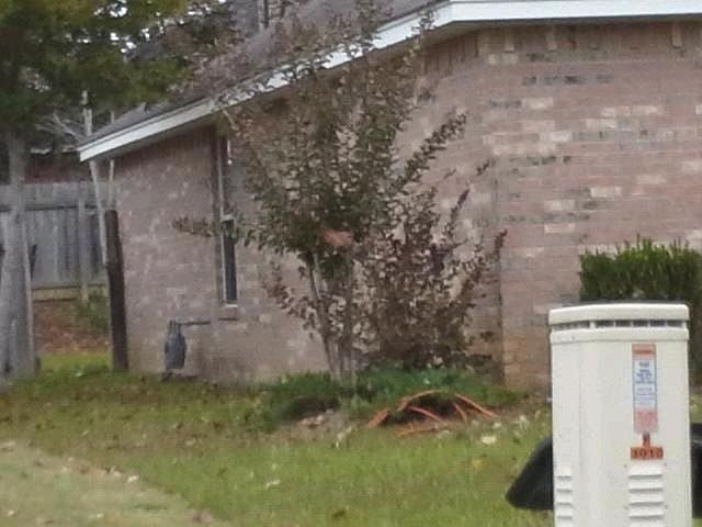 2nd image of 3014 Meagan Dr