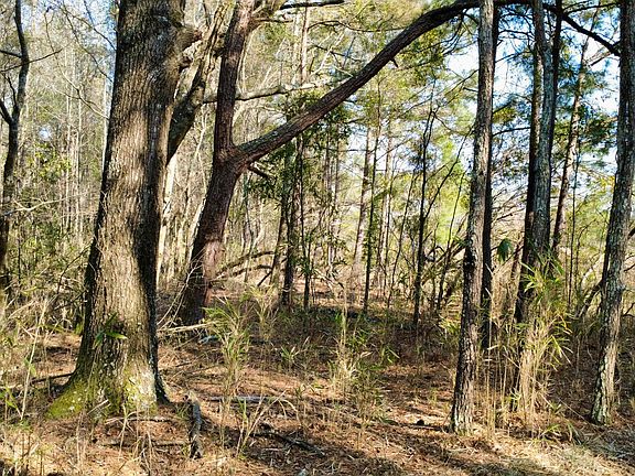 4th image of 1 Westbury Rd