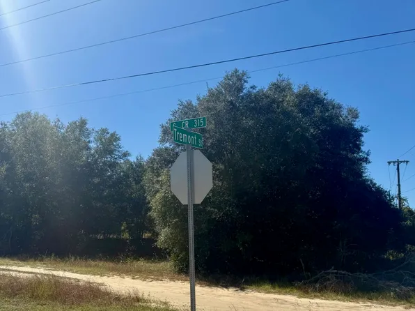 0 S COUNTY ROAD 315, Interlachen, FL 32148
