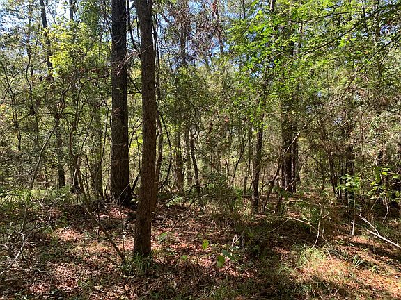 5th image of 0 Harvey Rd Lot B