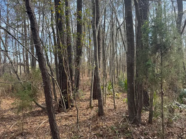 0 Branton Ln, Moncks Corner, SC 29461
