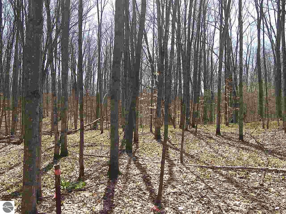 1st image of W Armstrong Lake Trail B 3