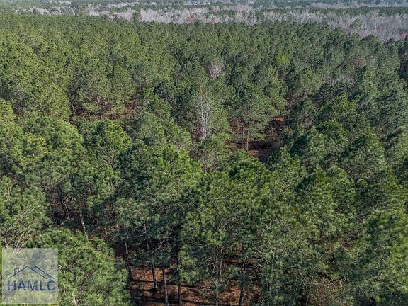 4th image of 1 Ben Giddens Rd