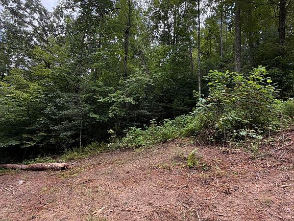 3rd image of 5.85 Ac Emory Shield Road