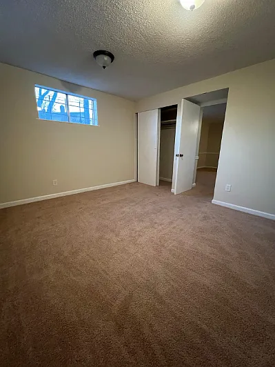 8102 Carey Branch Dr — Photo 8