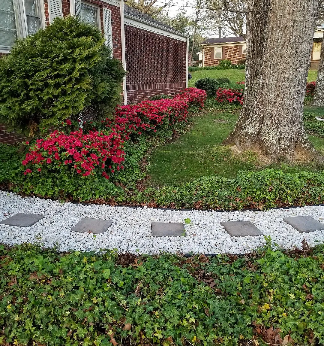 3 bed, 2500 sqft, $2,200 — Photo 1