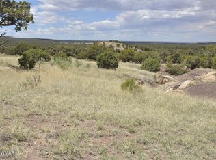 163 County Road 8269, Concho, AZ 85924
