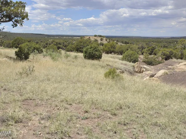 163 County Road 8269, Concho, AZ 85924