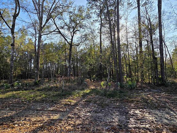 5th image of 6 Livingston Parish