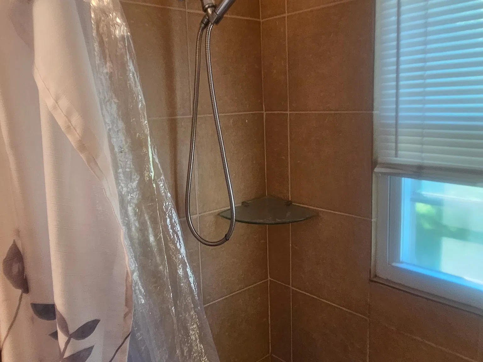 6 bed, 1087 sqft, $700 — Photo 4