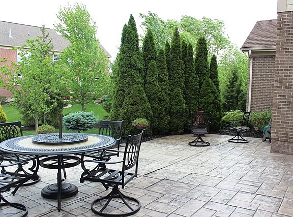 4th image of 7890 Royal Fern Ct